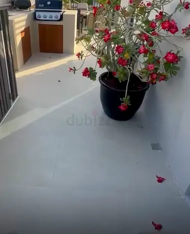 Floor tiles still in box