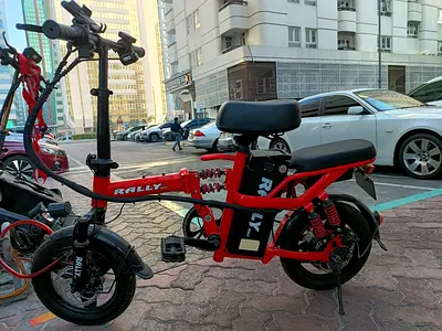 Electric cycle