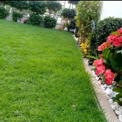 Gul landscaping