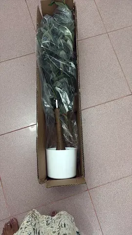 Artificial Plants- Olive tree