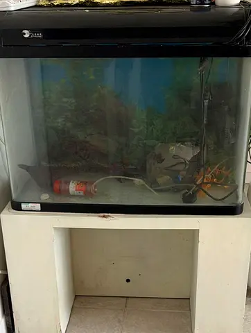 fish tank with table