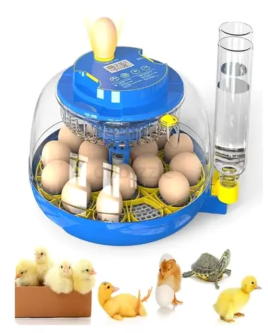 18-egg incubator, suitable for hatching chickens, quails, ducks and turkeys