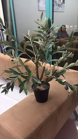 Artificial Plants