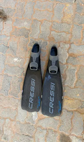 Diving Fins