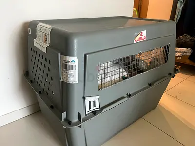Large Hard-Sided Pet Carrier / Airline Approved Crate - Used, Good Condition