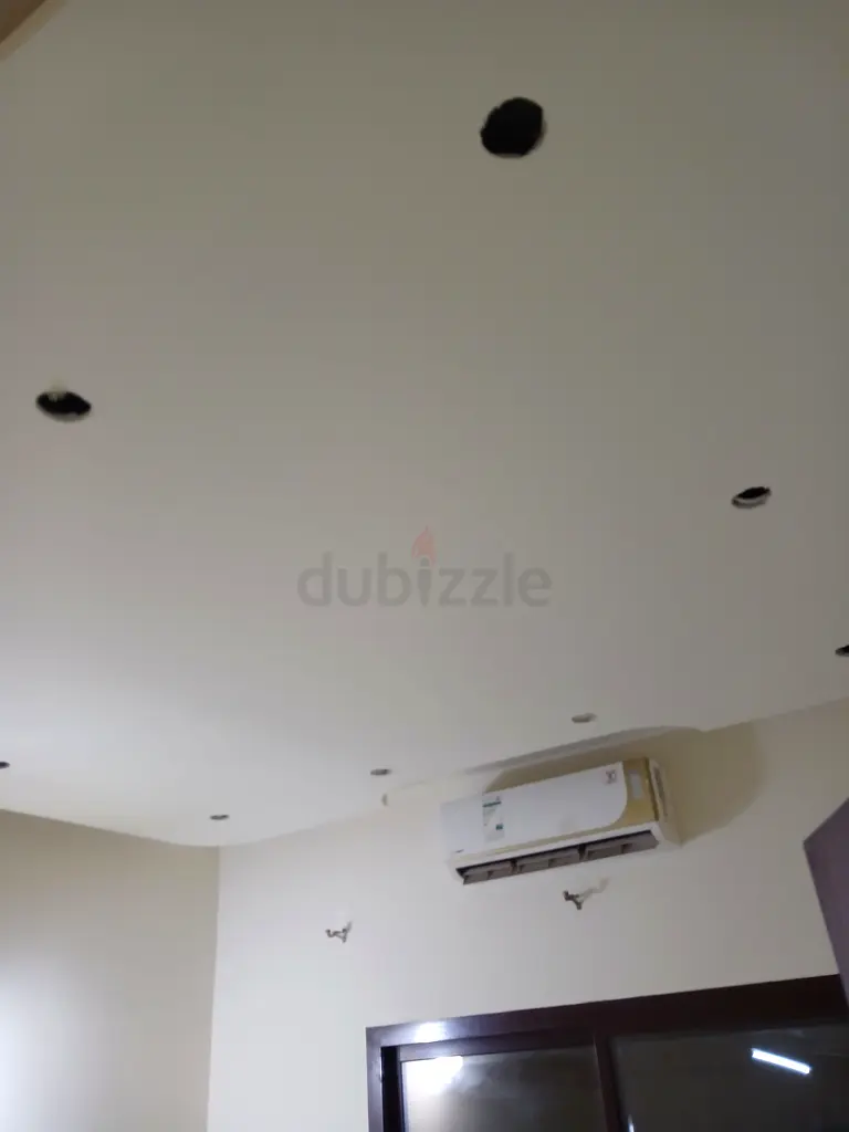 DPV_View_Image_1