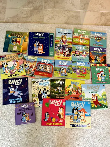 Bluey books