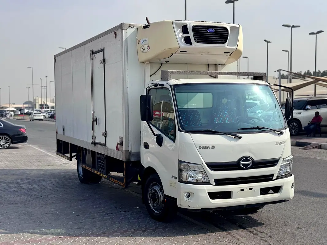 Hino 300 2020 — photo 1 of 12