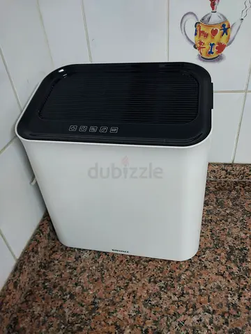 Air cleaner