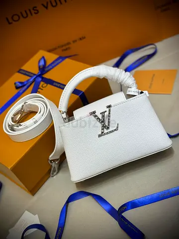 Louis Vuitton Mini Capucines handbag.