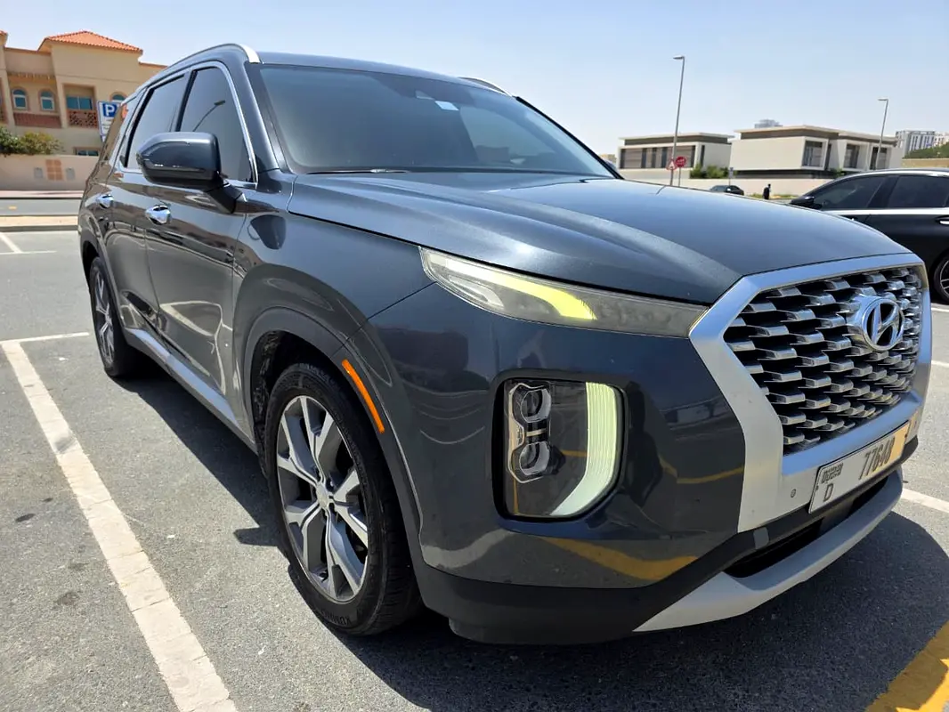 Hyundai Palisade 2020 — photo 1 of 20