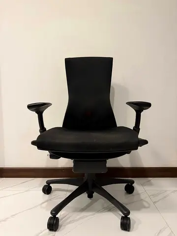 Herman Miller embody chair