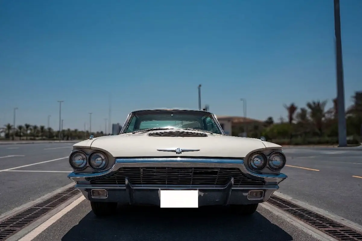 Ford Thunderbird 1965 — photo 1 of 15