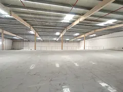 Al Jurf 3 Ajman | Warehouse 31,000 Sqft | 2 Mezzanine | High Power | Logistics Ready | AED 1.5M