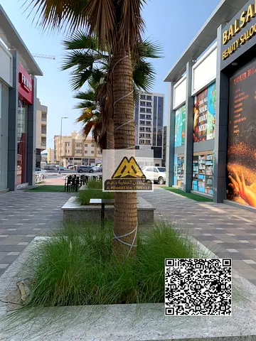 محلات للإيجار في الحميدية – عجمان، موقع مميز وحيوي مناسب لجميع الأنشطة التجارية في منطقة سكنية وتجارية نشطة.
