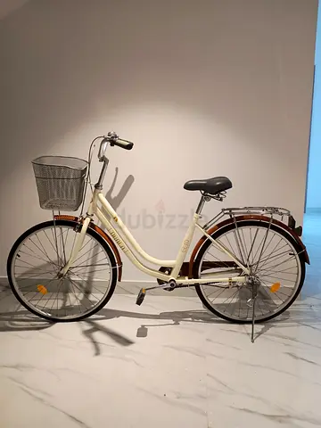 Bicycle with Basket and Rear Rack - Excellent Condition