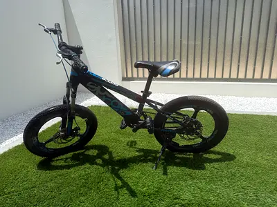 Used adult mountain bike with fat tires - good condition