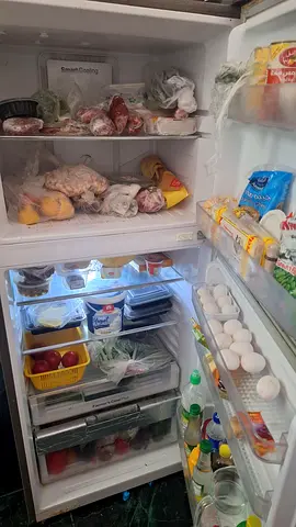 Fridge