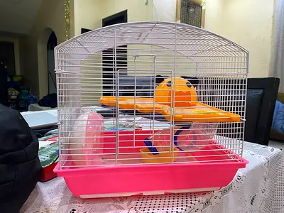 Hamster cage