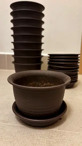 FREE – Set of 10 Small Plant Pots with Saucers