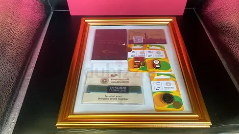 Framed Expo 2020 Dubai Collectible Pins  Badges Display