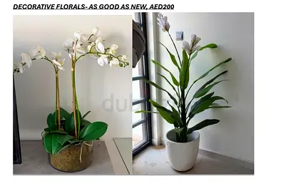 Set of Decorative Artificial Plants and Orchids - Like New