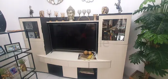 TV unit