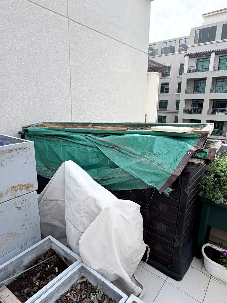 DPV_View_Image_0