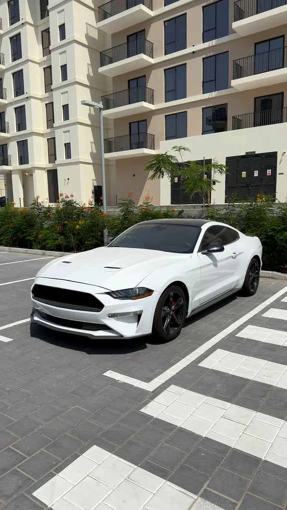 Ford Mustang 2021 — photo 1 of 8
