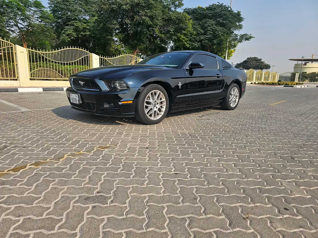 Ford Mustang 2014 — photo 1 of 15