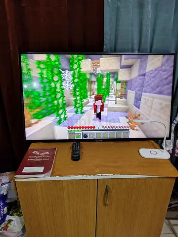 TV