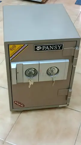 Pansy Small Fireproof Safe with Double Locks
