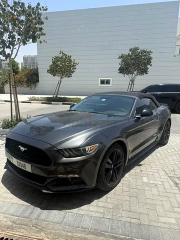Mustang Echo-Boost 2.3ltr 50yr Anniversary Edition