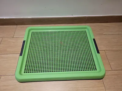 Dog Pad