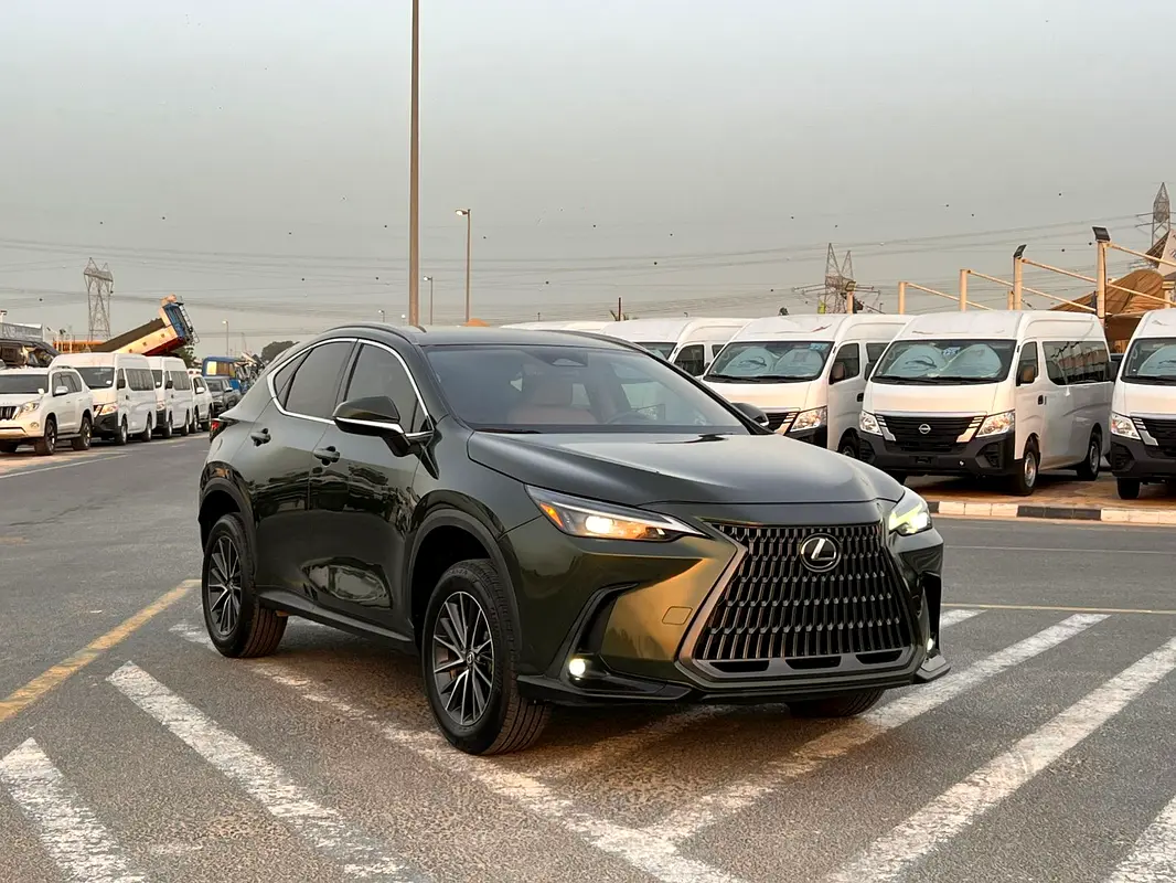 Lexus NX-Series 2024 — photo 1 of 20