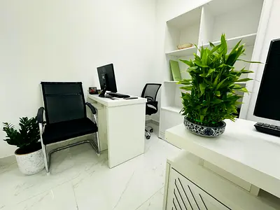 Ready-to-Use Offices for New Business Setup | No Commission