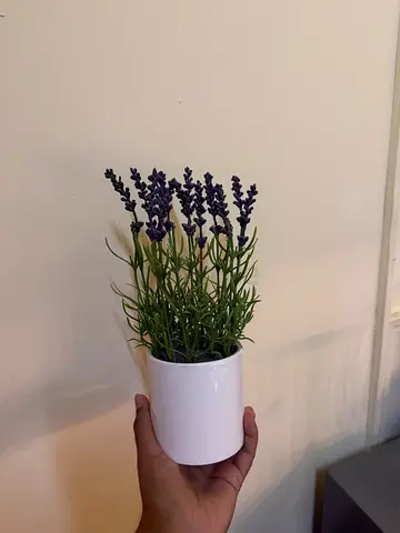 Artificial lavender with vase