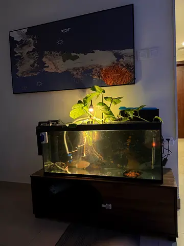 1 meter tank and hanging filter for only 200dh