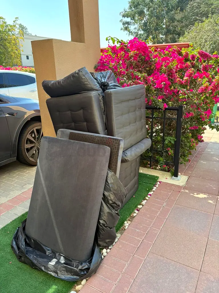 DPV_View_Image_0