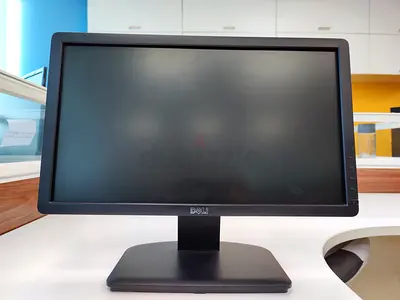 DELL LCD Monitor