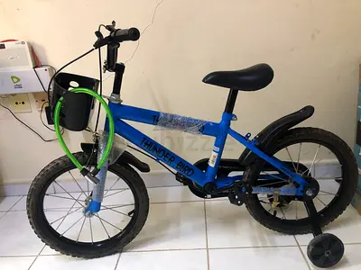Thunder Bird kids bike with training wheels - 16 inch