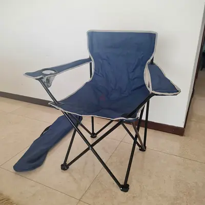 Foldable Camping/Outdoor Chair with Carry Bag - Blue