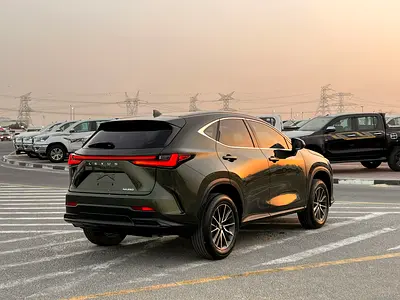 2024 Lexus NX-SERIES 缩略图 8