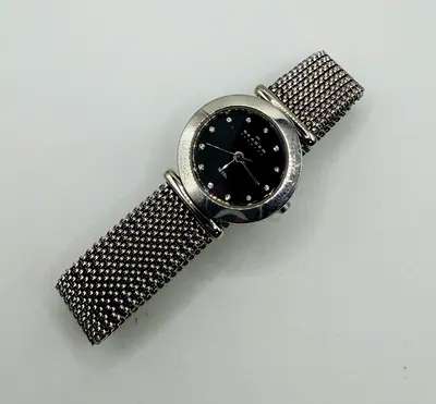 Skagen Mesh Collection Womens Quartz Silver Stainless Steel Watch 107SSSB1