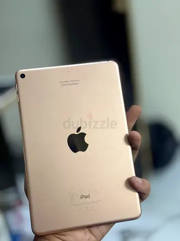 Ipad mini 5 256 gb