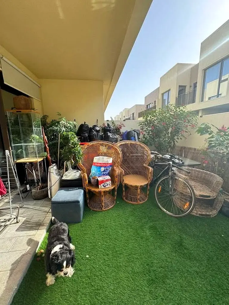 DPV_View_Image_0