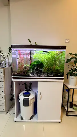 30 gallon Aquarium tank with HW-304B External Canister Filter and stand - Good Working Condition
