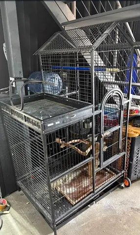 Large metal bird cage on wheels with perches and feeders