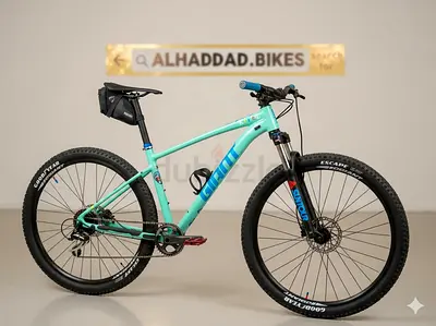 Giant talon 2 (custom)