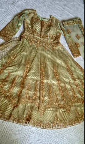 Pistachio green and Gold Embellished Traditional Womens Dress (excellent Condition)